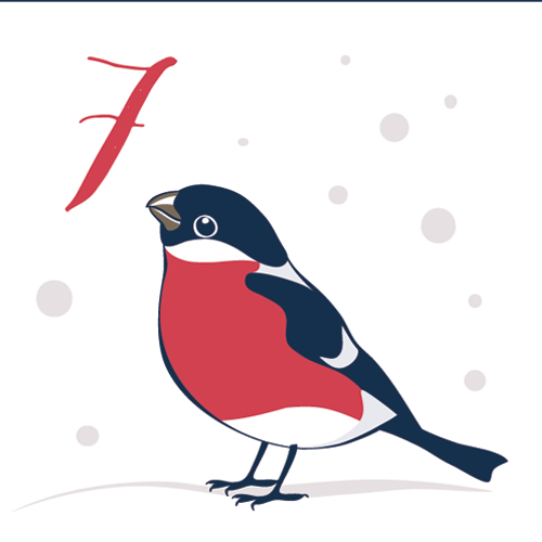 door-7. Dezember