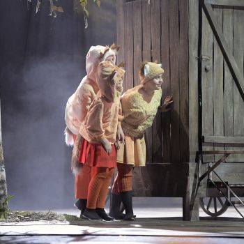 18_HP2Füchslein269_1